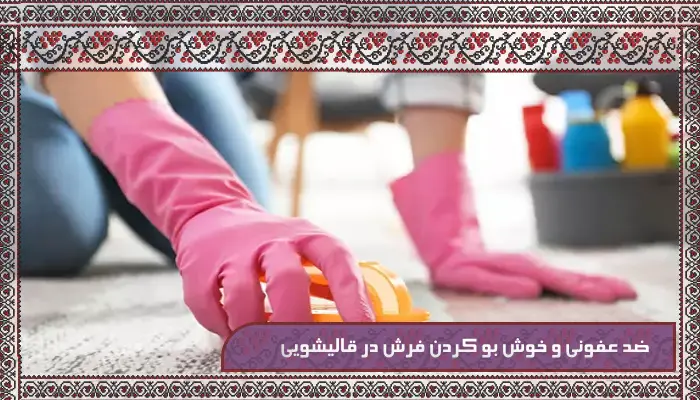 ضد عفونی و خوش بو کردن فرش در قالیشویی